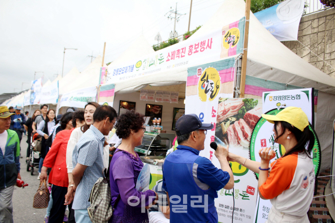 [포토]우리 돼지 한돈이 쏜다!