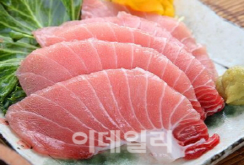 국내산 참다랑어 양식, 10년 만에 성공..식탁에서 맛본다