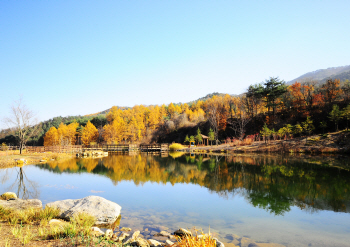 산림청, 올해 축구장 9000여개 규모 사유림 사들인다