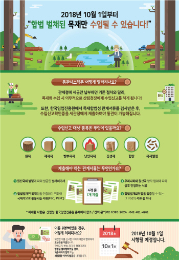 10월1일부터 불법 벌채된 목재 수입 전면 제한된다