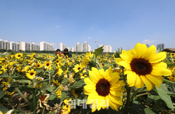 [포토]'오늘은 낮이 가장 긴 날'