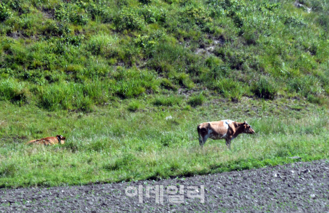 [포토]북한의 강원도 풍경