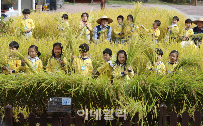 농식품부 “7월6일까지 벼 농작물재해보험 신청하세요”