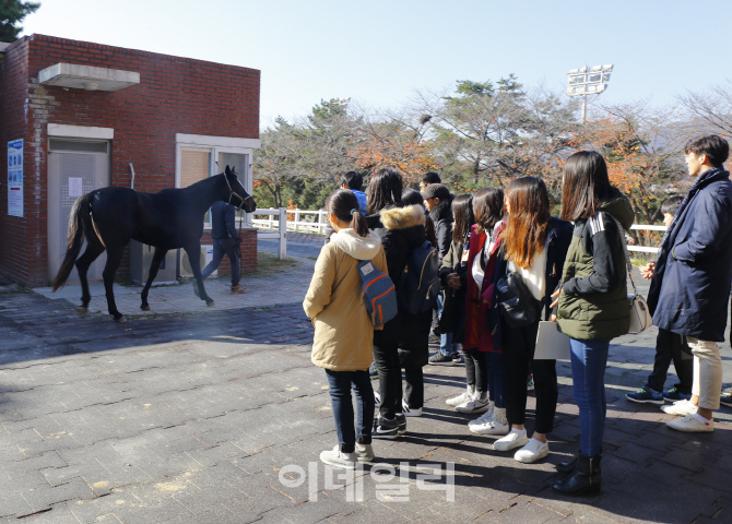 한국마사회, 교육기부 '말산업 진로직업 체험' 확대 시행