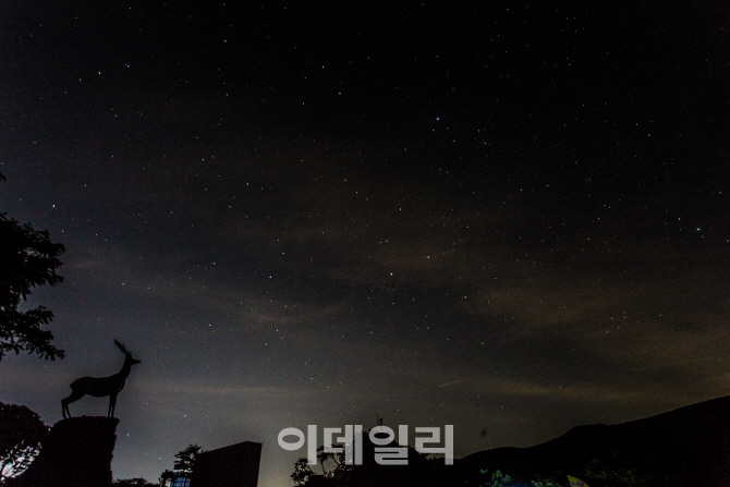 [별헤는밤①] 여름철 낭만 여행 ‘제주의 별 헤는 밤’