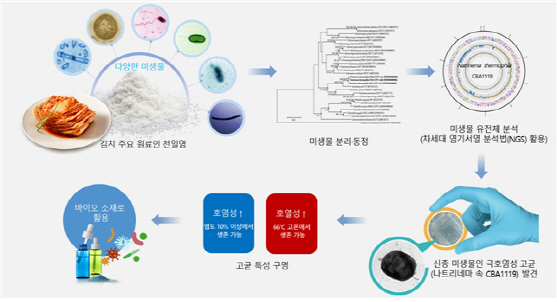 세계김치연구소, 천일염서 열·염분에 강한 신종 미생물 발견