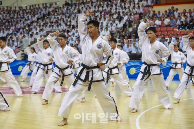 [포토]틀동작 선보이는 北 태권도 시범단