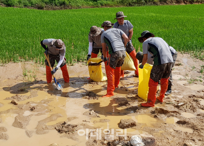 [포토] 농작물 토사 제거작업나선 군