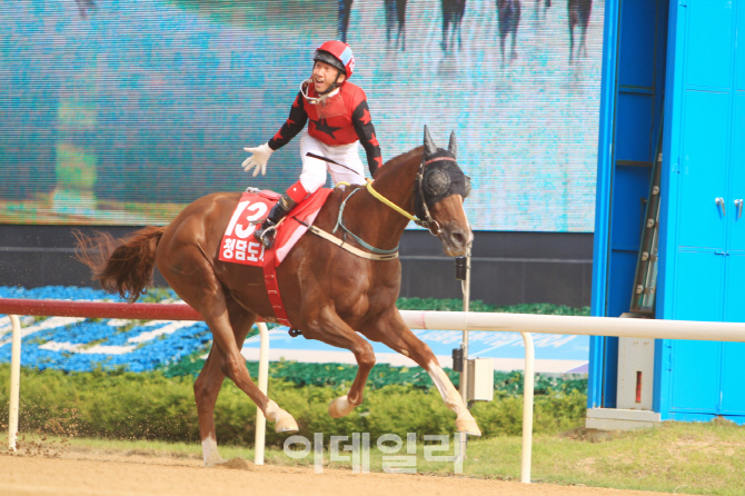 부경 에이스 경주마들도 꺾지 못한 '청담도끼'의 기세