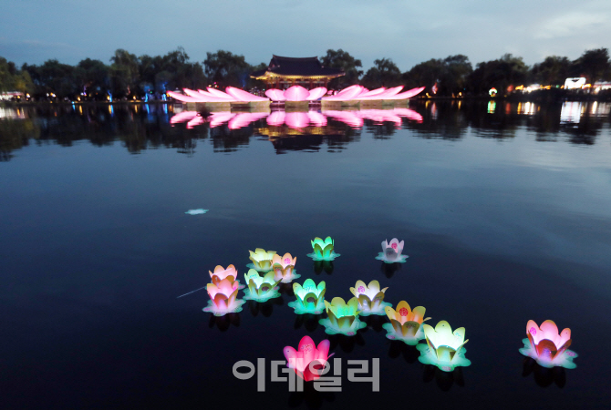 [포토] 밤에 핀 연꽃
