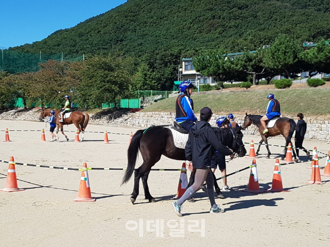 농식품부, 전북에 4호 말산업 특구 지정.. 2년간 50억원 지원