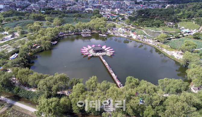 [포토]부여서동연꽃축제, 궁남지 주변 전경