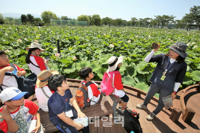 [포토]다양한 수생식물 관찰에 푹 빠진 코카-콜라 어린이 그린리더들!