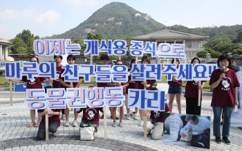 靑국민청원, 초복 맞아 ‘개식용 금지 찬반 논쟁’ 전쟁터 수준