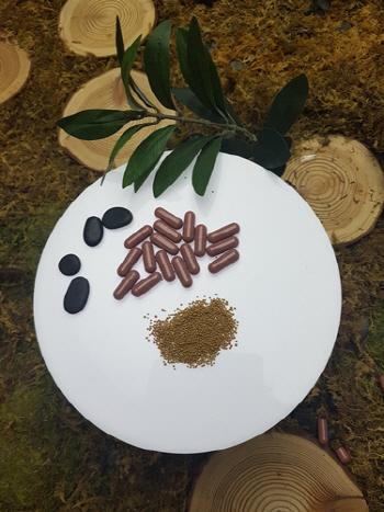 아리바이오 '자음강화탕', 美 FDA 신규 건강식품 원료 인증