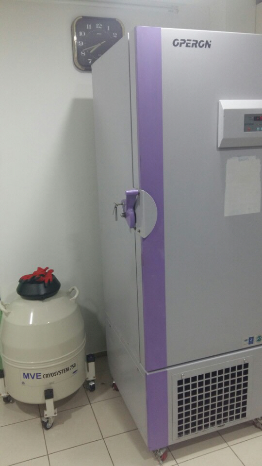 새까맣던 당뇨족, 줄기세포 치료로 붉은 혈기 돌아