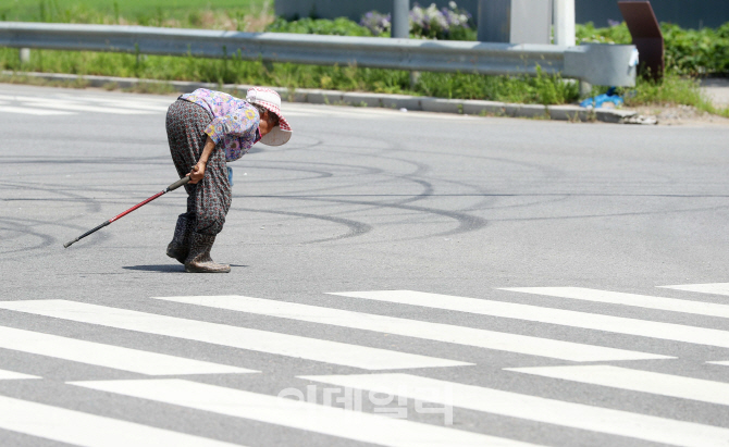 [포토]'야속한 폭염'
