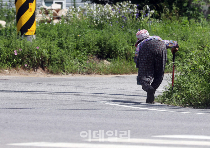[포토]'힘겨운 여름'