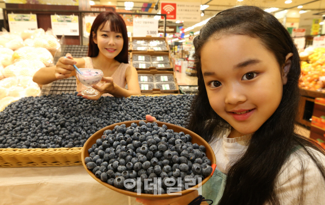 [포토]몸에 좋은 블루베리로 건강 챙기세요!