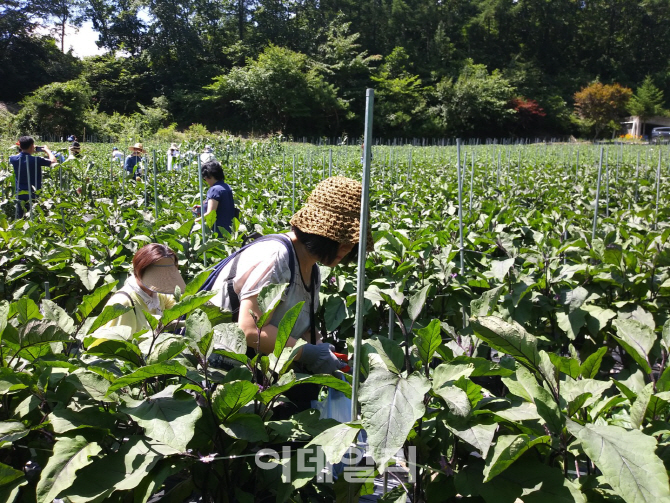 “친환경급식 재료 엄마눈으로 직접 확인해요”