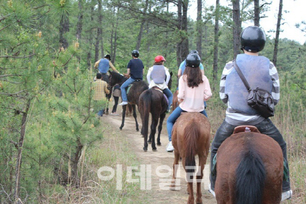 산림청, 산림레포츠시설 대상 안전점검 실시