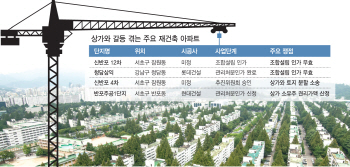 툭하면 소송…재건축 발목잡는 단지내 상가 '떼고 갈까, 같이 할까'