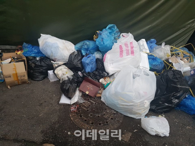 서울시, 폭염 속 쓰레기 무단투기 집중 단속