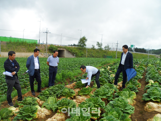 이병호 aT 사장 "폭염 피해 고랭지 채소 수급안정 최선"