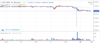 `빗썸 악재에 크루그먼 독설` 흔들린 암호화폐…비트코인 860만원대