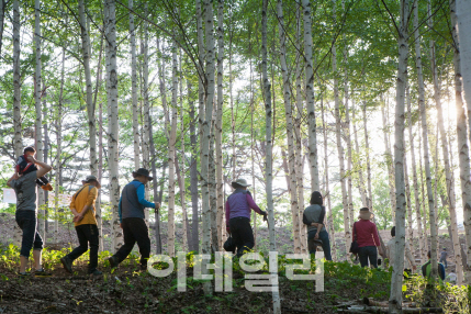 평창·괴산·진안·인제·울진 '산촌거점권역'으로 육성