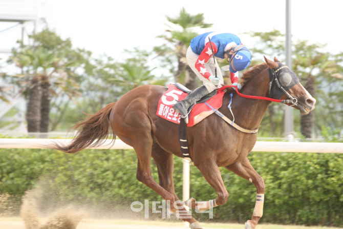 숨은 주역들의 경쟁, 마방 최강팀 선발전 개시