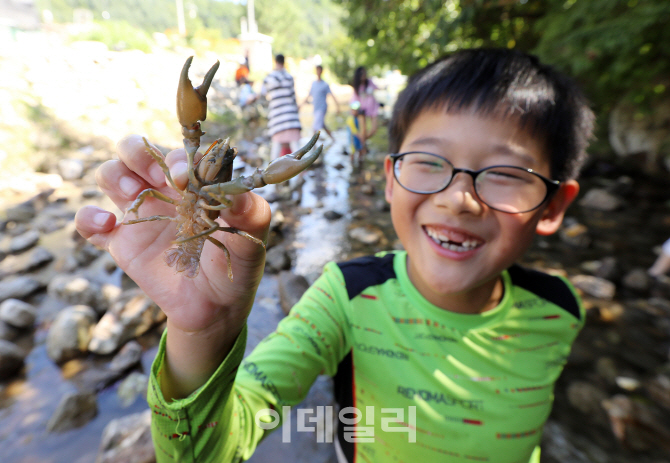 [포토]제20회 봉화은어축제, '내가 잡았어요'