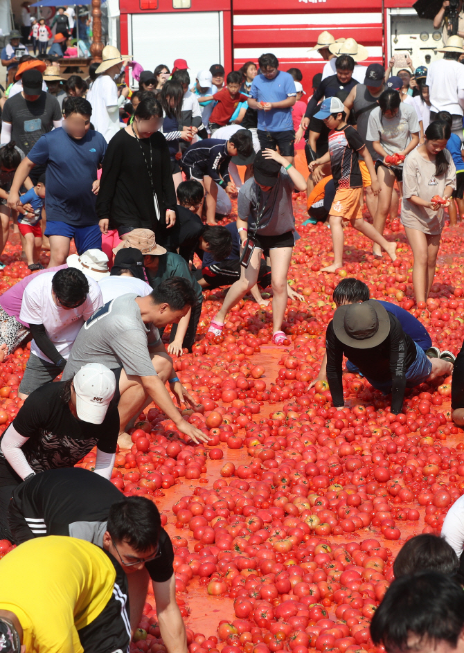 [포토] 토마토 바다 속으로 '풍덩'