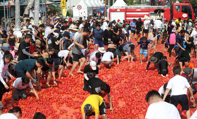 [포토] 토마토 바다 속으로 '풍덩'