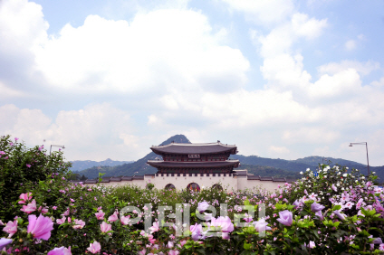 산림청·서울시, 10~15일 ‘제28회 나라꽃 무궁화 전국축제’