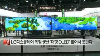  LG디스플레이 독점 생산 ′대형 OLED′ 없어서 못판다 外