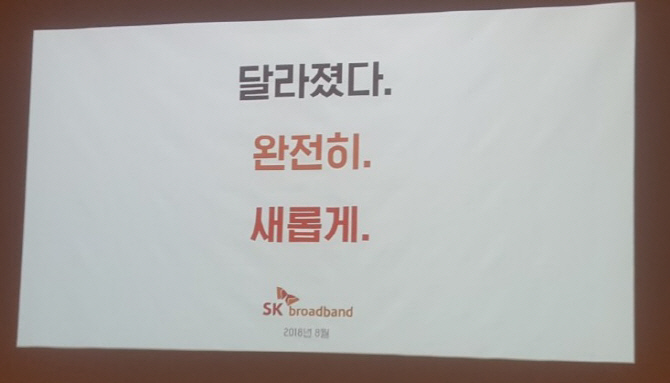 (일문일답)“내년 넷플릭스 영향력 흔들..SK, 새롭게 경쟁”