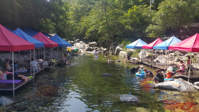 "국유지를 내땅처럼"…휴가지 숙박·음식점 절반이 불법영업