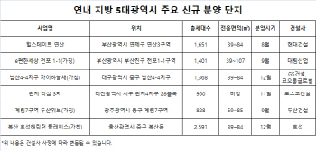 연내 5대 광역시 4만1000가구 분양… 저평가 매력 단지 노려볼까