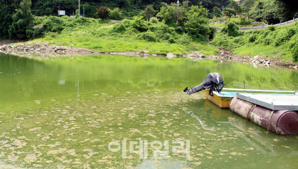 폭염으로 상수원 7곳 ‘조류경보’…수돗물 안전 '비상'
