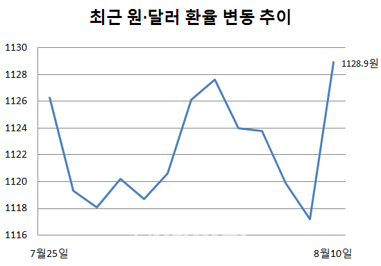 미국發 터키 ‘리라화’ 폭락.. 원·달러 환율 연고점 경신할까