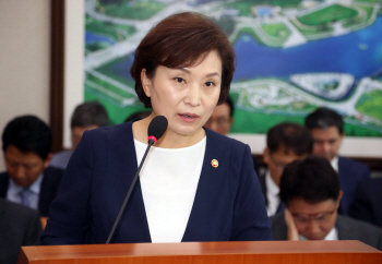 김현미 장관 “올해 집값 급등지역, 내년 공시가격에 제대로 반영”