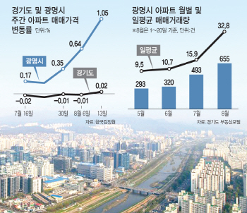 거래 늘고 집값 껑충..광명시로 투자자 몰리는 이유