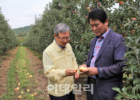 [포토]NH농협손보, 태풍 피해 현장 점검