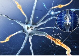 DGIST, 인간 뇌 기능 모사한 인공 시냅스 소자 개발