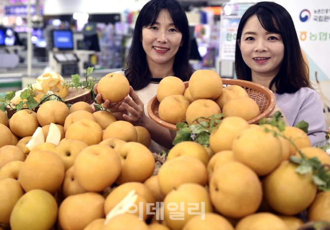 [포토] 첫 출하된 햇배-원황·한아름