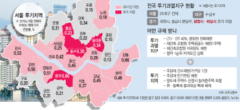 투기지역 추가 지정? "수급 더 불안" VS "투기수요 차단"