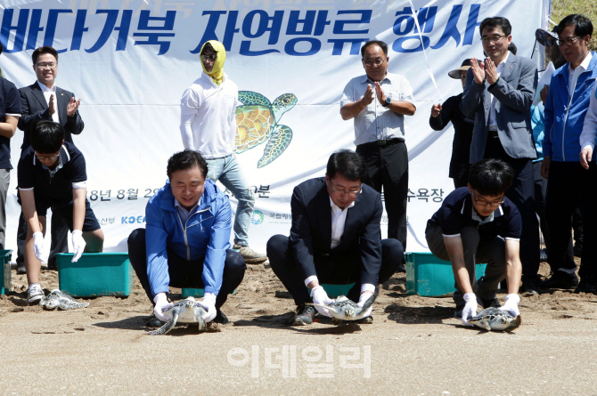 [포토] 바다에서 잘 살아라~