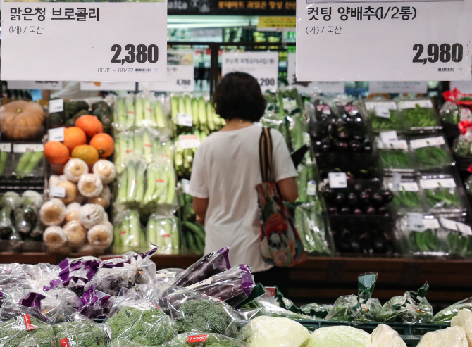 정부, 추석 성수품 물가 중점 관리.. 추석연휴 고속도로 통행료 면제