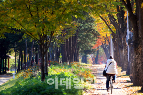 도심 미세먼지·폭염, 도시숲으로 잡는다